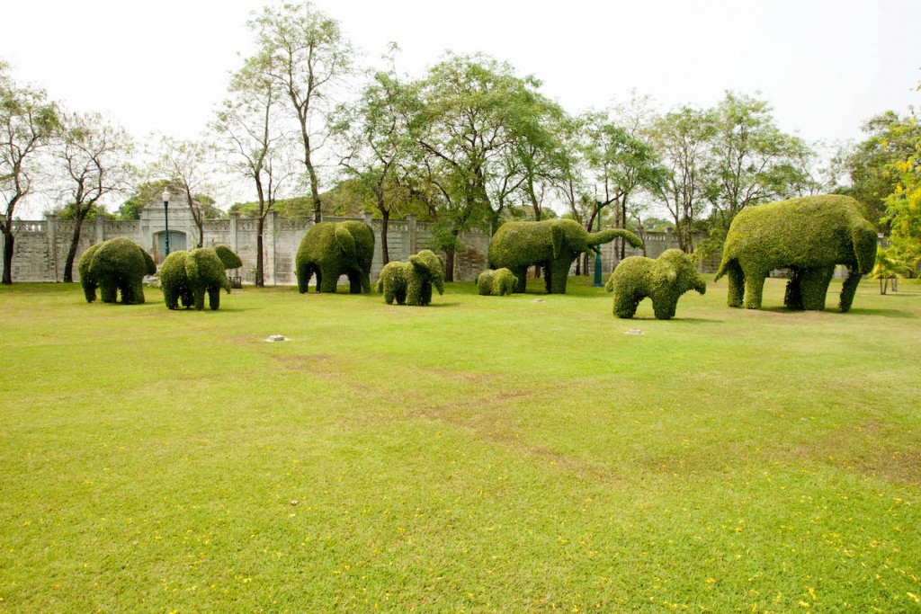 Ayuthaya Elephants