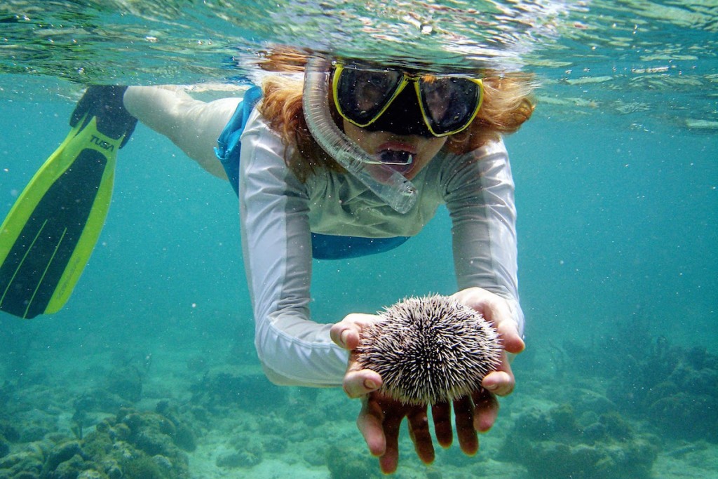 Snorkeling Thailand