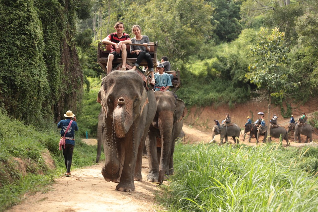 Elephant riding thailand